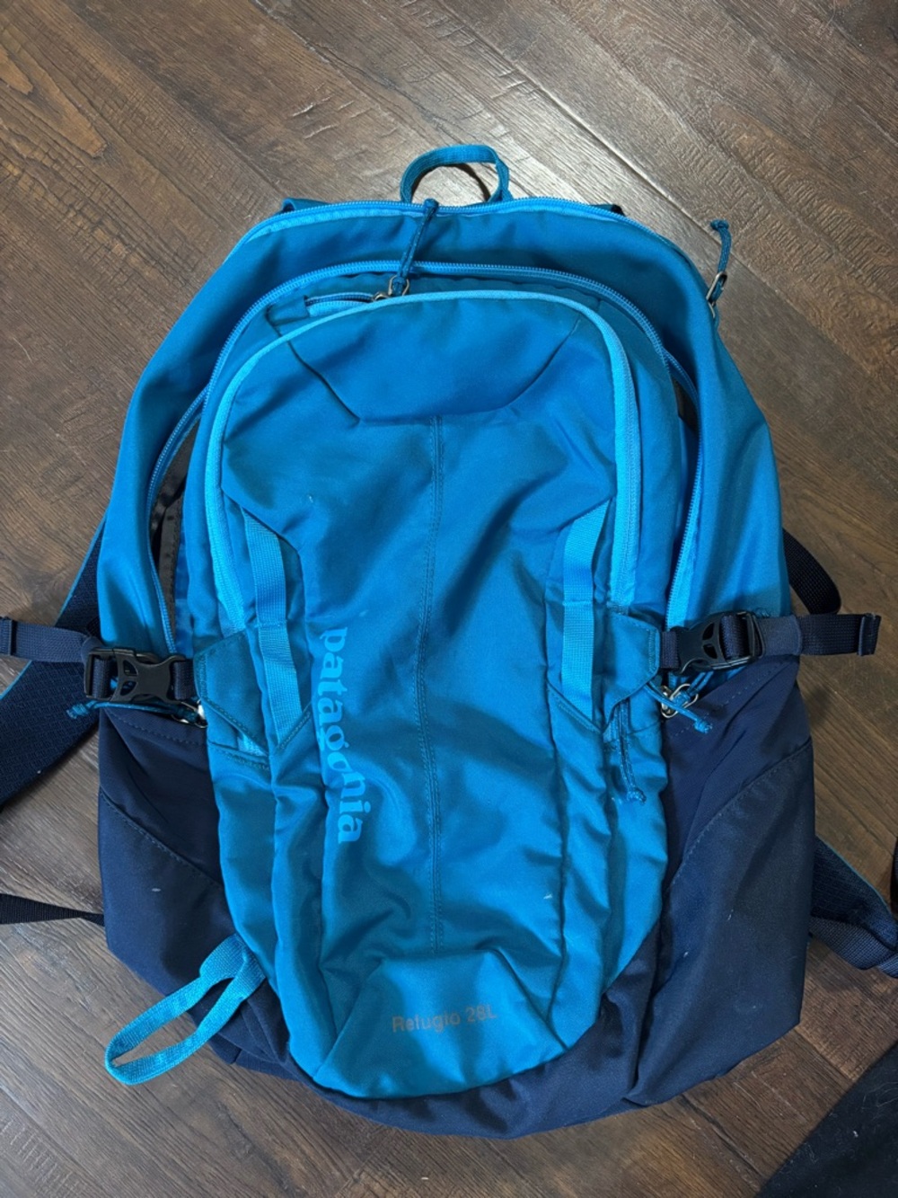 Patagonia Blue Refugio 28L Backpack